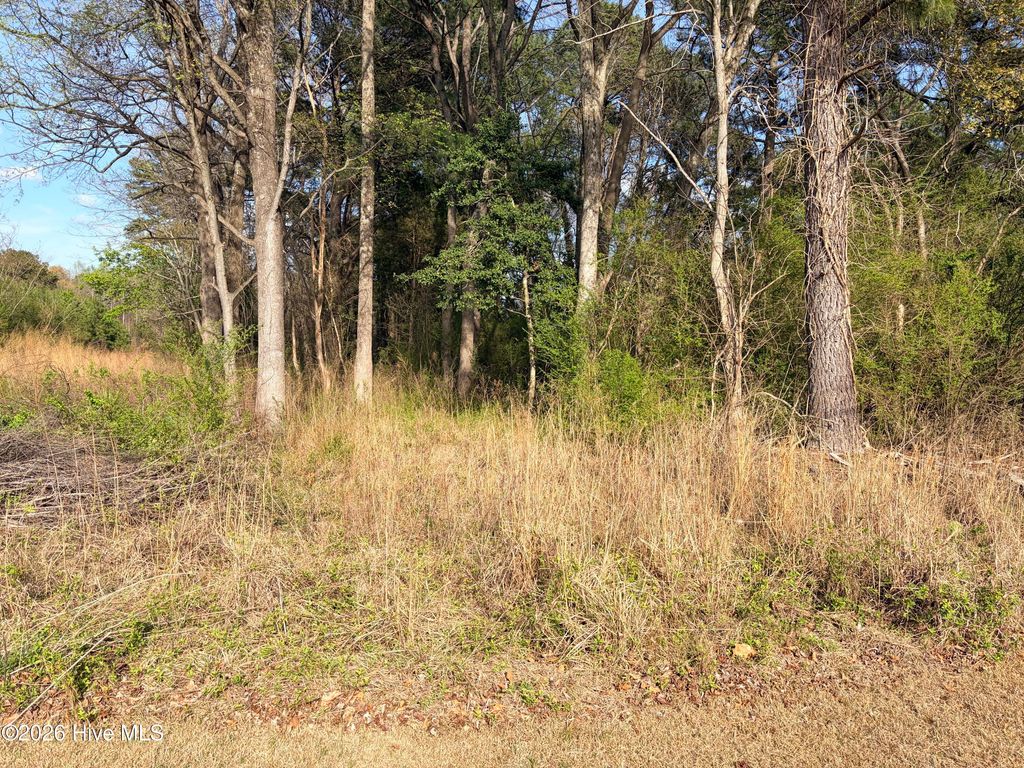 Photo of 3 St Paul Road, Roanoke Rapids, NC 27870 (MLS # 100562895)