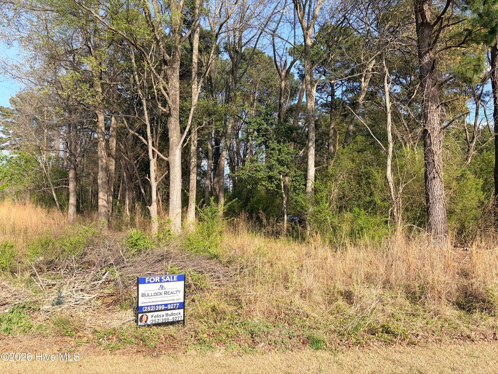 Photo of 3 St Paul Road, Roanoke Rapids, NC 27870 (MLS # 100562895)