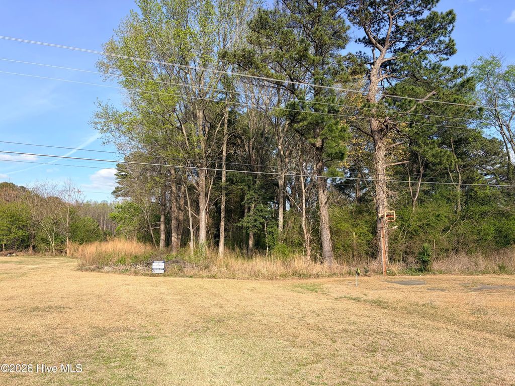 Photo of 3 St Paul Road, Roanoke Rapids, NC 27870 (MLS # 100562895)
