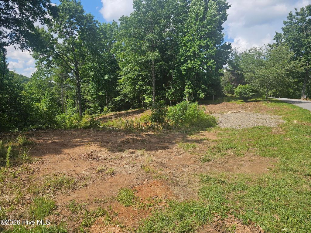 Photo of 45 Meadowlark Terrace, Murphy, NC 28906 (MLS # 100580760)