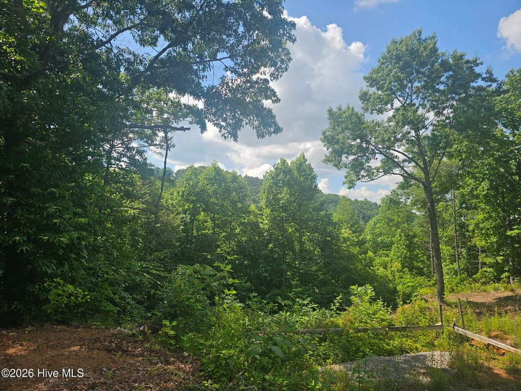 Photo of 45 Meadowlark Terrace, Murphy, NC 28906 (MLS # 100580760)