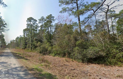 Vacant Land For Sale - Maple Road<br/> Boiling Spring Lakes, NC 28461