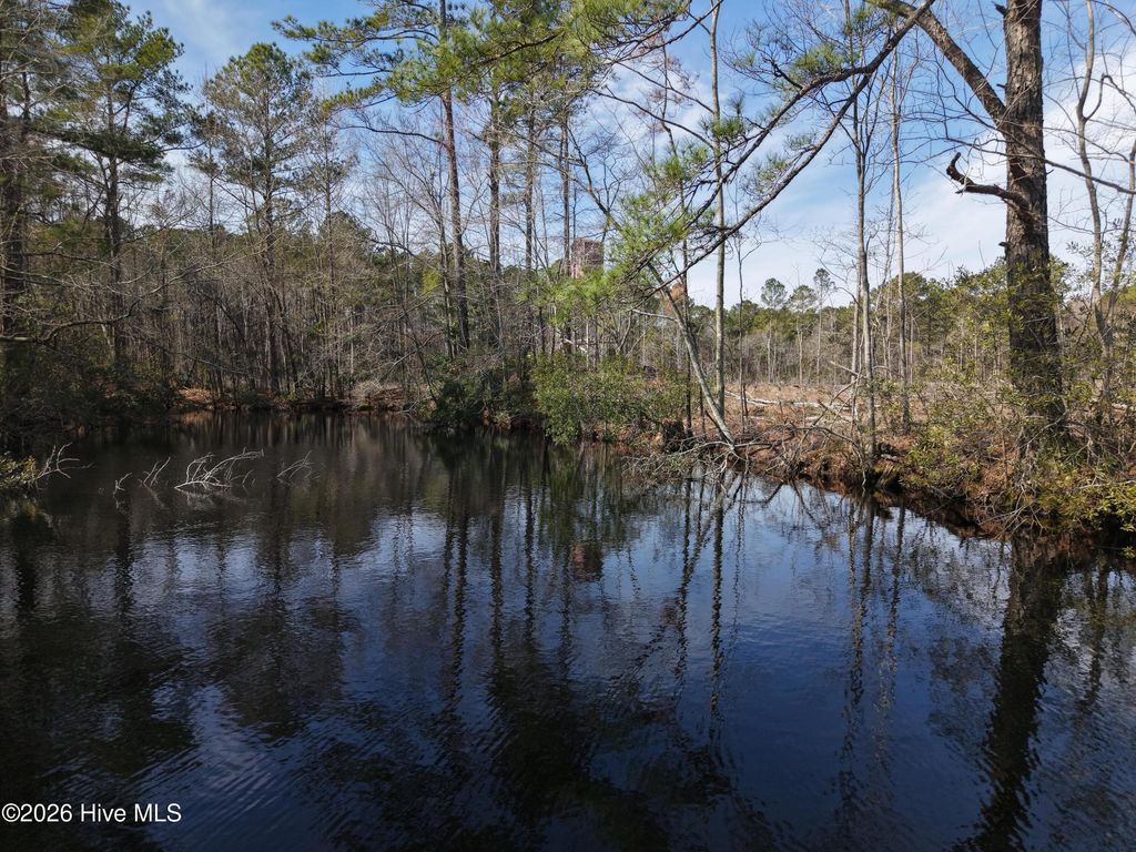 Photo of 6879 Haynes Lennon Highway, Evergreen, NC 28438 (MLS # 100565734)