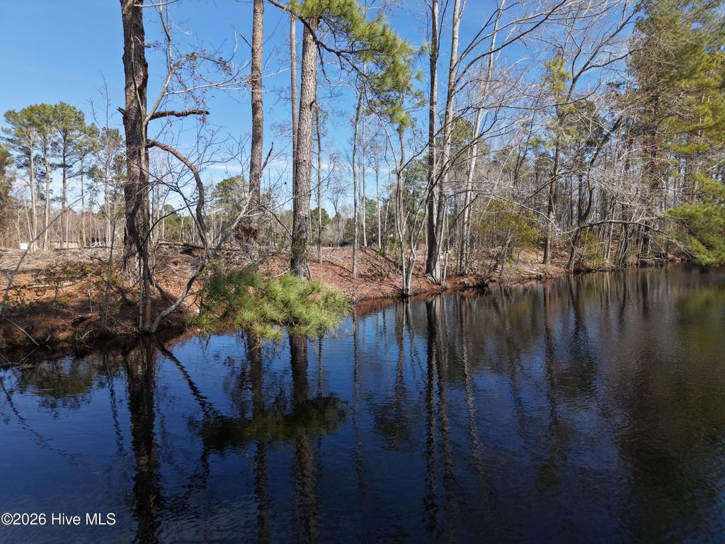 Photo of 6879 Haynes Lennon Highway, Evergreen, NC 28438 (MLS # 100565734)