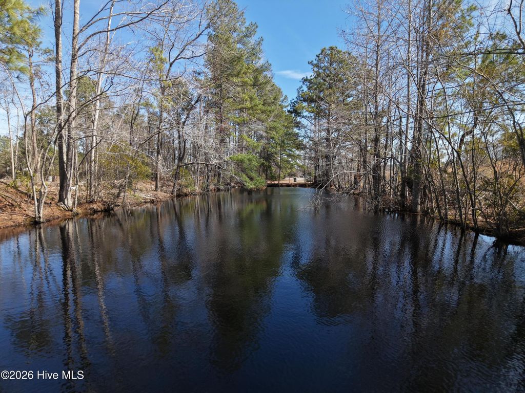 Photo of 6879 Haynes Lennon Highway, Evergreen, NC 28438 (MLS # 100565734)