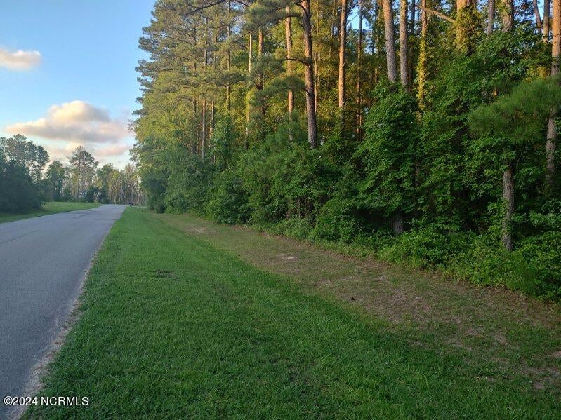 Photo of 33 Mixon Creek Drive, Bath, NC 27808 (MLS # 100605581)