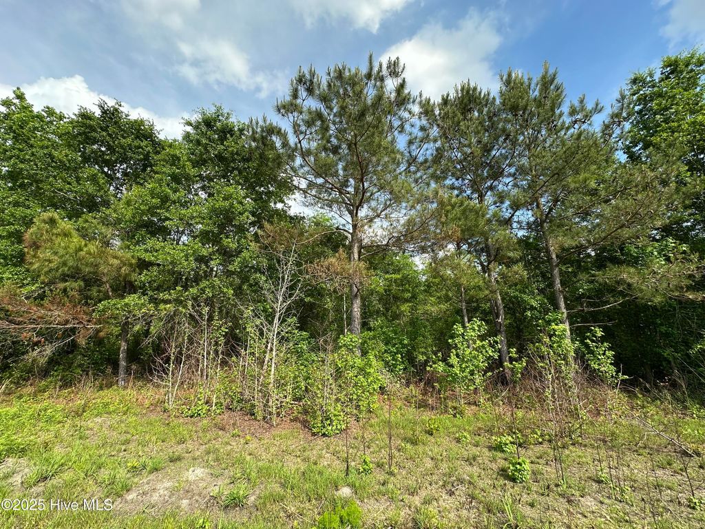 Photo of 2 Mcgirt Road, Maxton, NC 28364 (MLS # 100553961)