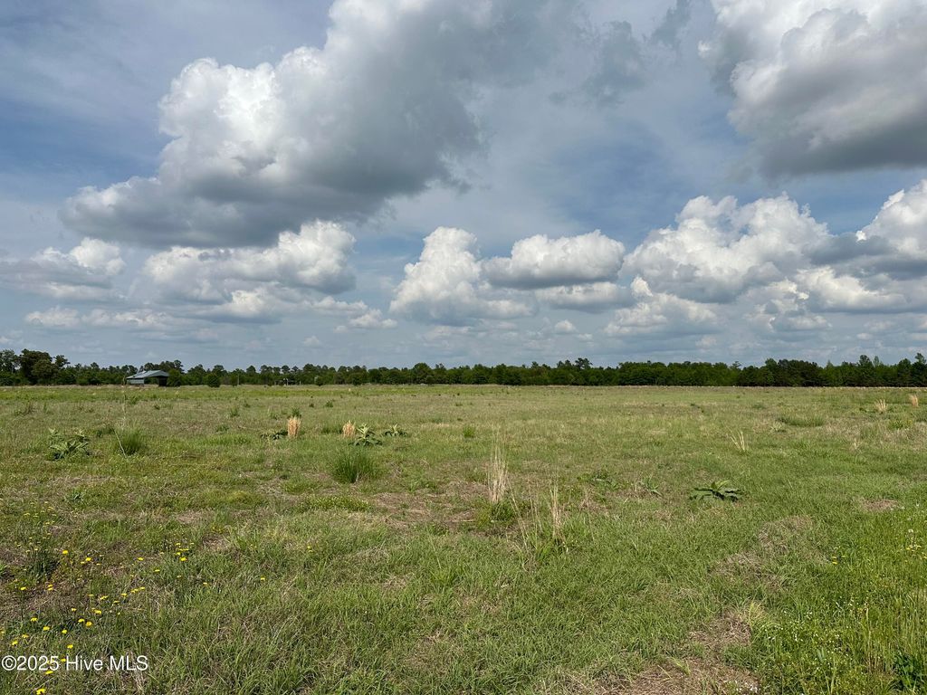 Photo of 2 Mcgirt Road, Maxton, NC 28364 (MLS # 100553961)