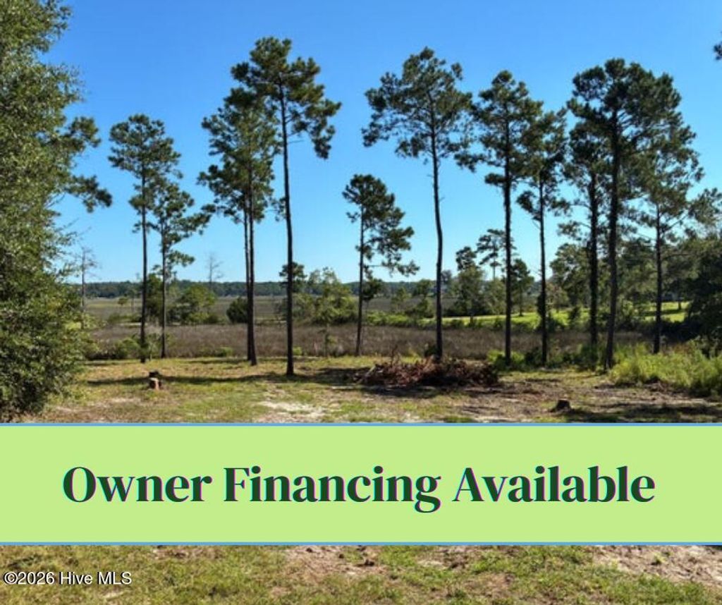 Photo of 2440 Crape Myrtle Court SW, Supply, NC 28462 (MLS # 100531018)