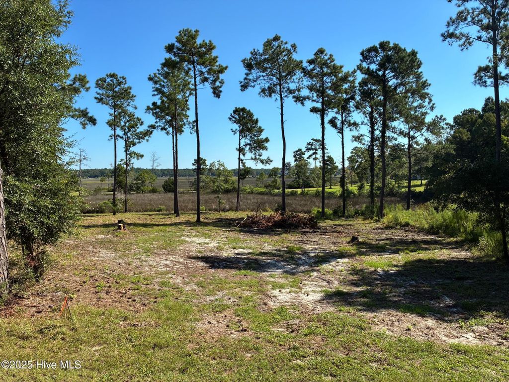 Photo of 2440 Crape Myrtle Court SW, Supply, NC 28462 (MLS # 100531018)