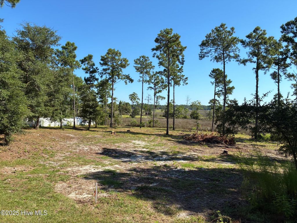 Photo of 2440 Crape Myrtle Court SW, Supply, NC 28462 (MLS # 100531018)