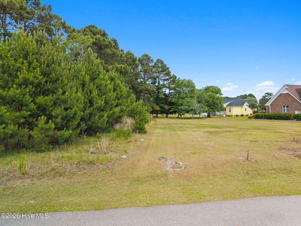 Photo of 2926 North Court CT SW, Supply, NC 28462 (MLS # 100579218)