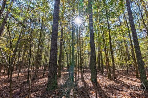 Vacant Land For Sale - Wilson Lane<br/> Arnoldsville, GA 30619