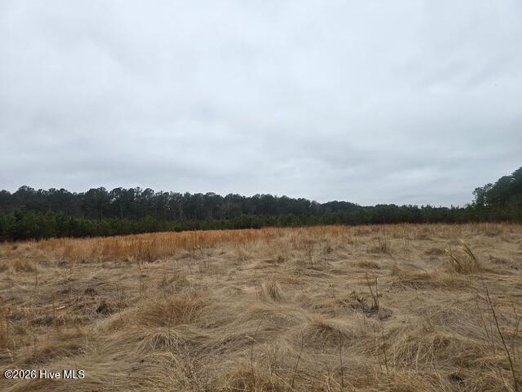 Photo of 1334 Meeks Road, Robersonville, NC 27871 (MLS # 100557778)