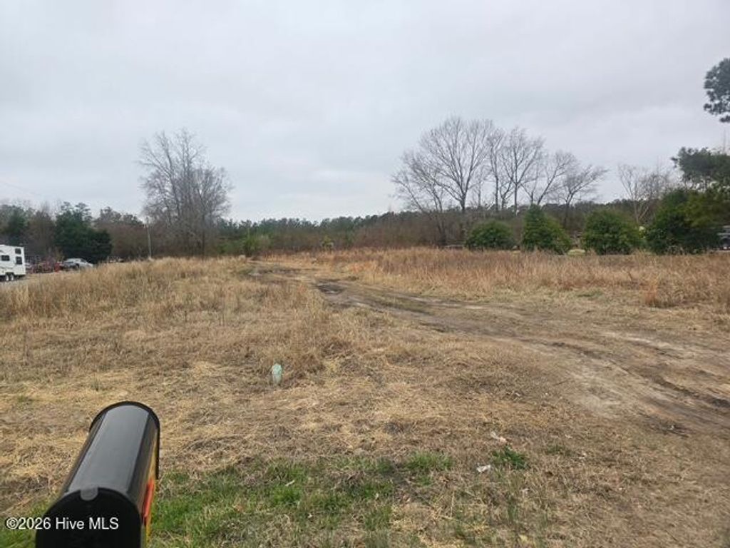 Photo of 1334 Meeks Road, Robersonville, NC 27871 (MLS # 100557778)