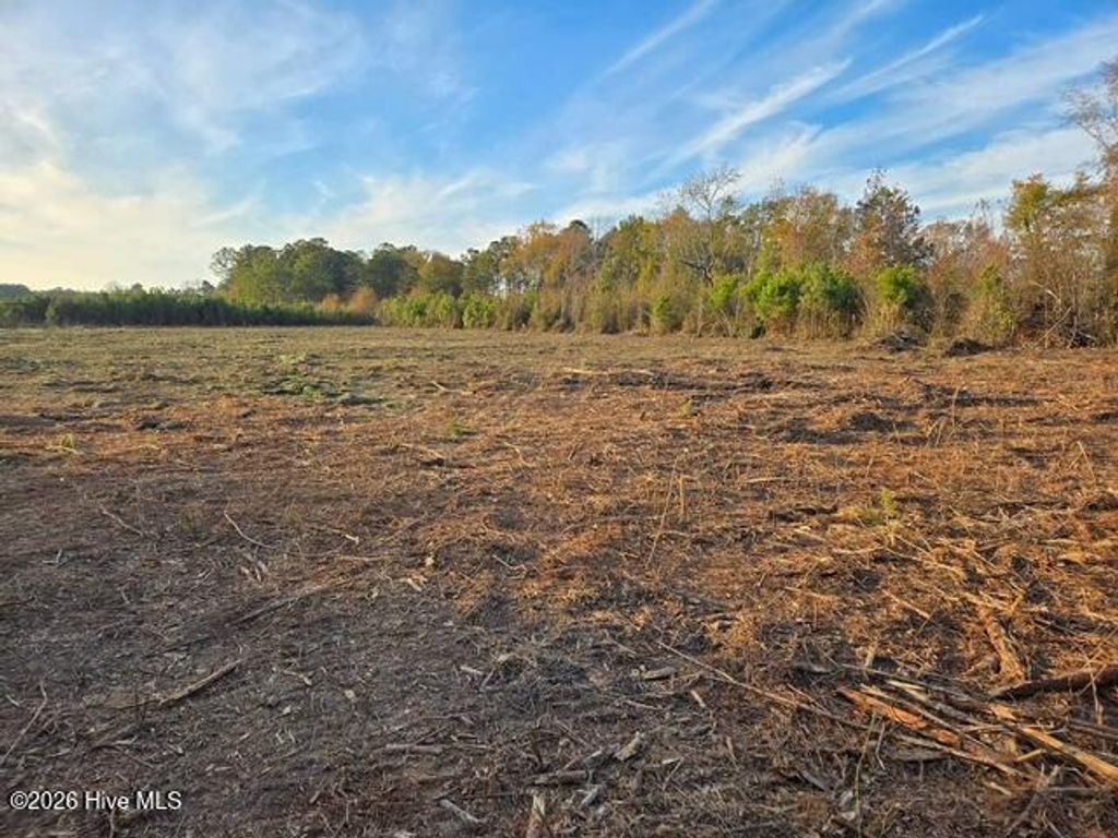 Photo of 1334 Meeks Road, Robersonville, NC 27871 (MLS # 100557778)