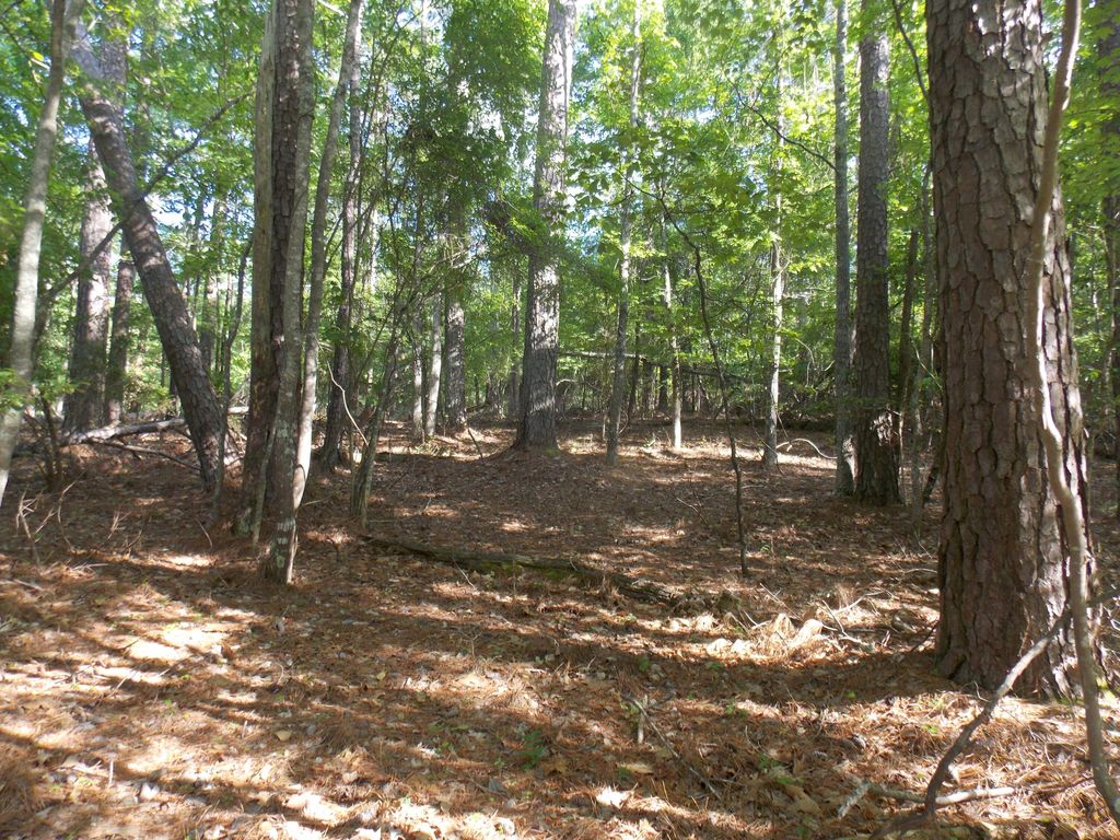 Photo of 12 RIVERVIEW Court, Lincolnton, GA 30817 (MLS # 541155)