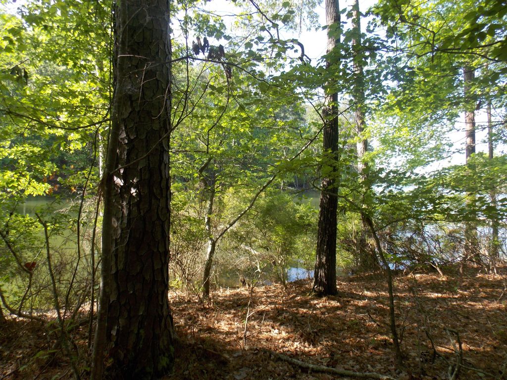 Photo of 12 RIVERVIEW Court, Lincolnton, GA 30817 (MLS # 541155)