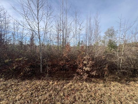 Vacant Land For Sale - LOT4 Hephzibah Church Road<br/> Lincoln County, Lincolnton, GA 30817