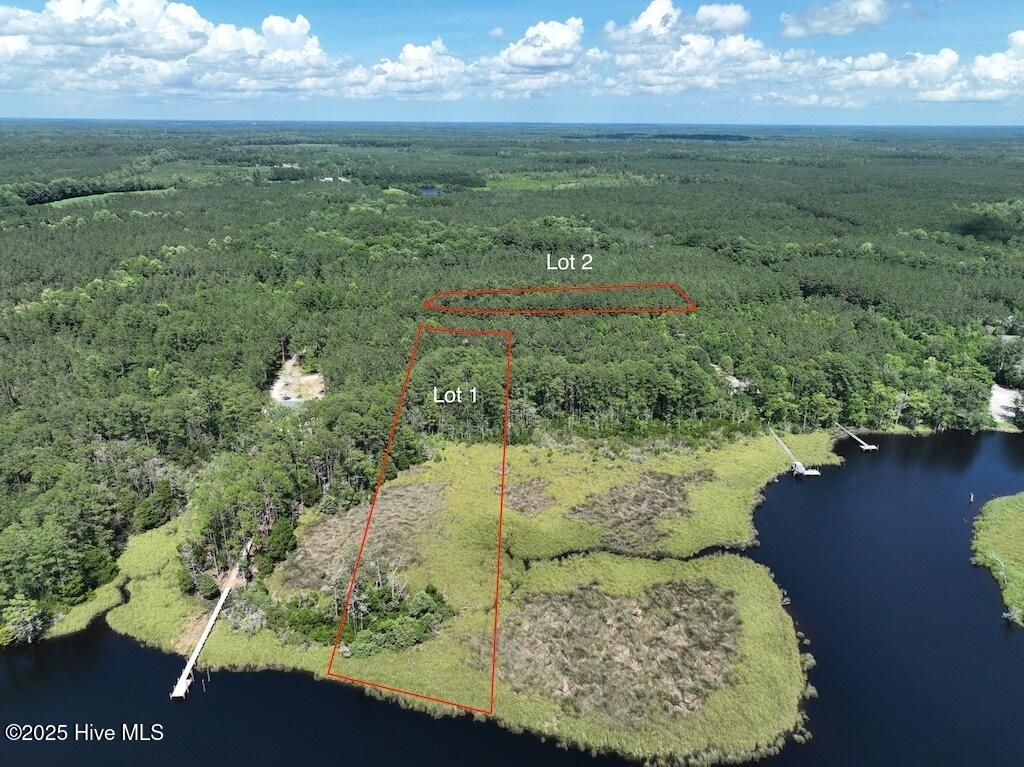 Photo of 175 North Berne Landing Road Rd, New Bern, NC 28560 (MLS # 100516490)