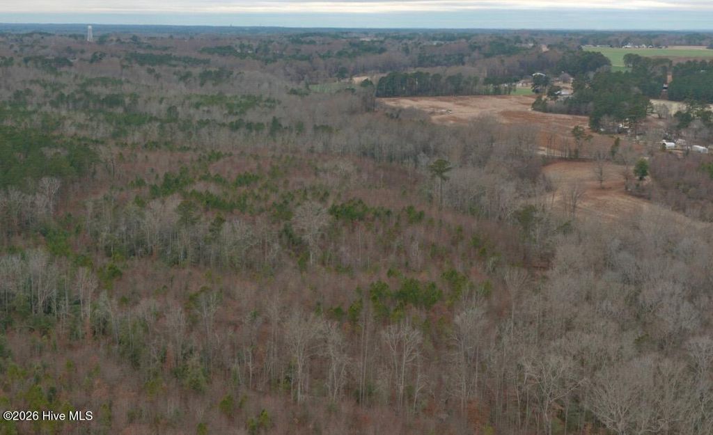 Photo of 17 Bradley Road, Broadway, NC 27505 (MLS # 100550792)