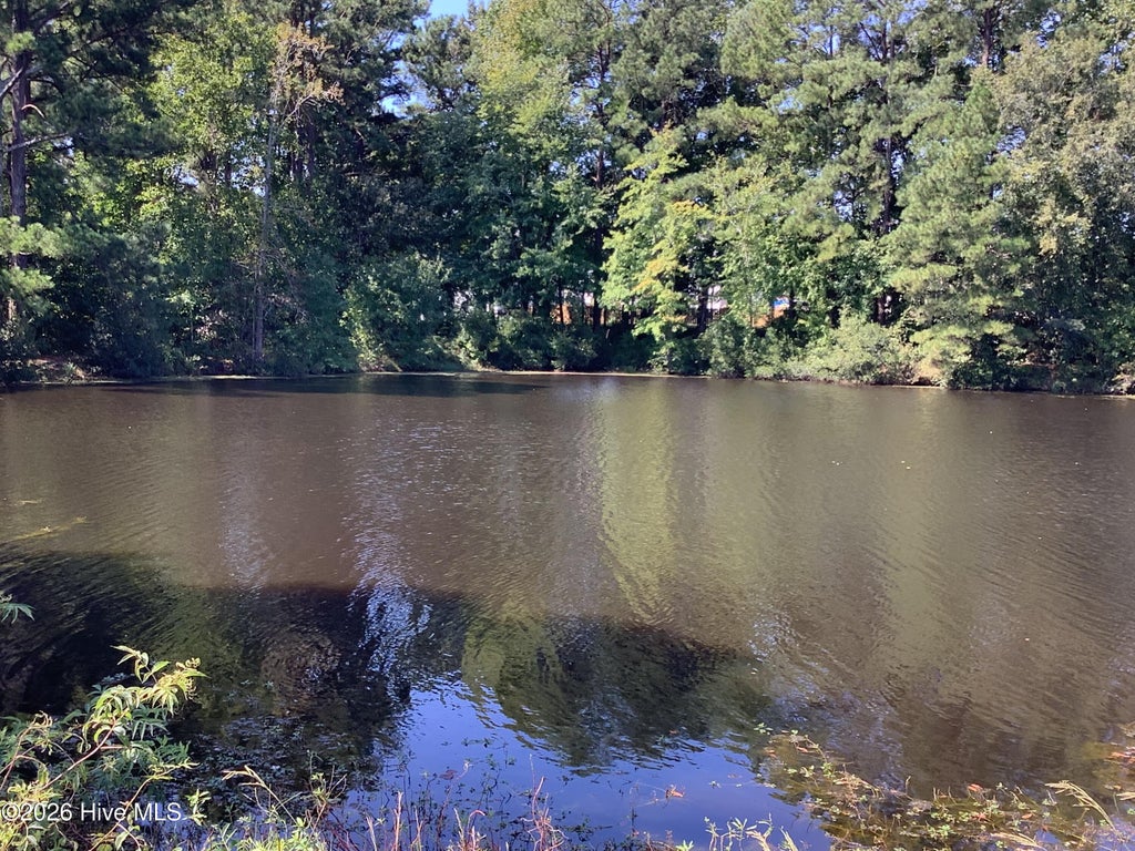 Photo of 455 Tralee Drive, Smithfield, NC 27577 (MLS # 100604020)