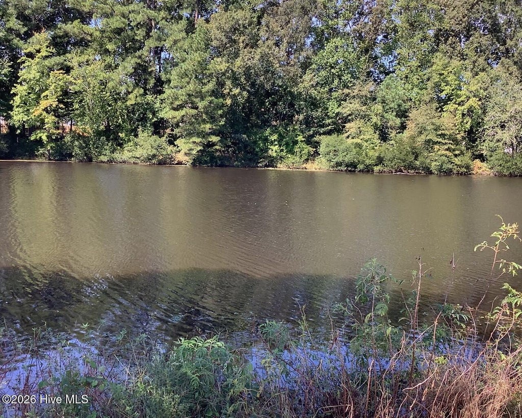 Photo of 455 Tralee Drive, Smithfield, NC 27577 (MLS # 100604020)