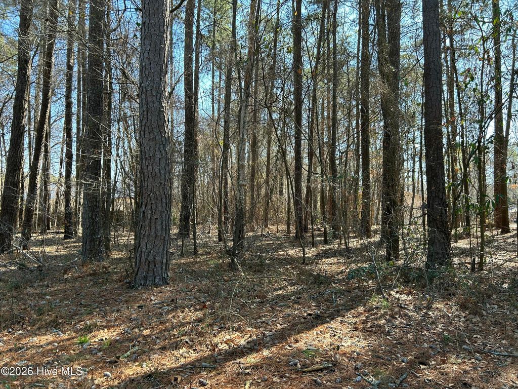 Photo of 1502 Sac Trail, Edenton, NC 27932 (MLS # 100558294)
