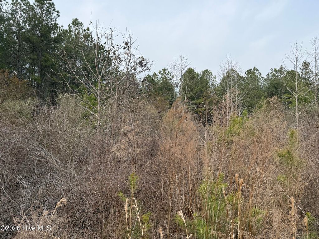 Photo of 0 Tuten Road, Aurora, NC 27806 (MLS # 100556942)