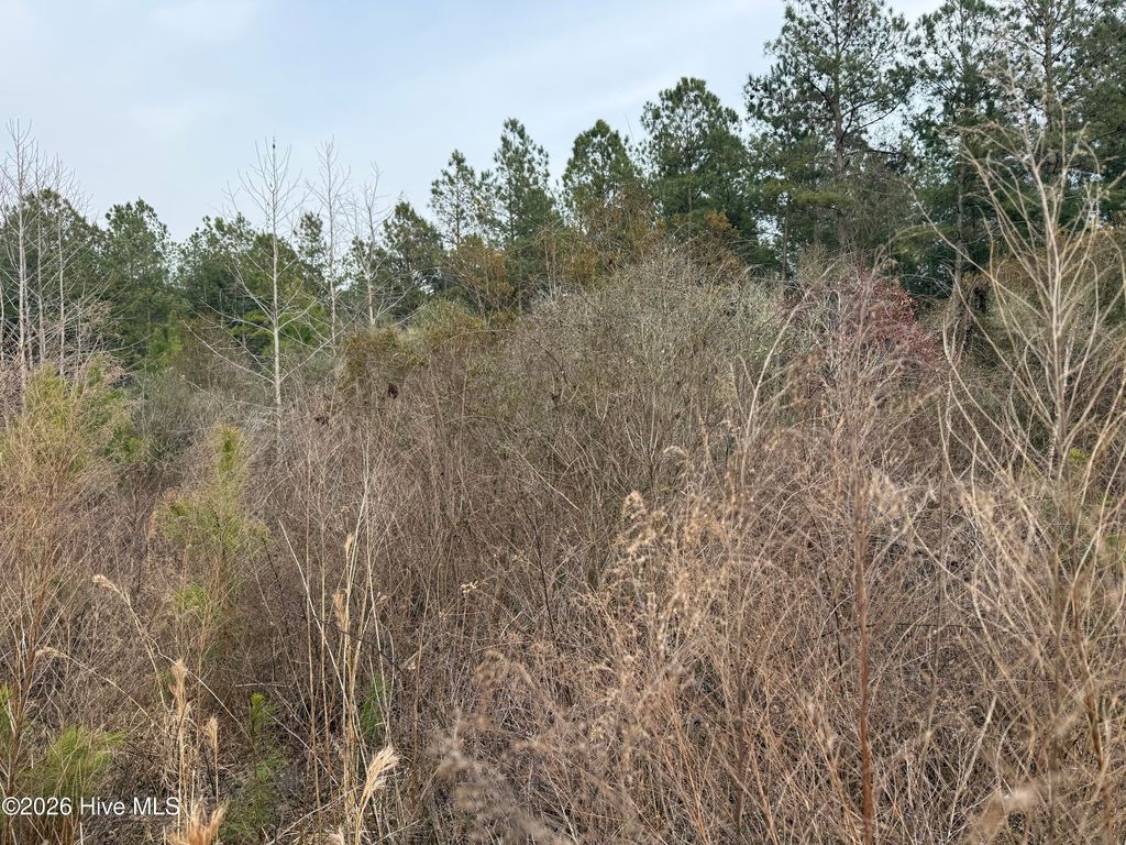 Photo of 0 Tuten Road, Aurora, NC 27806 (MLS # 100556942)