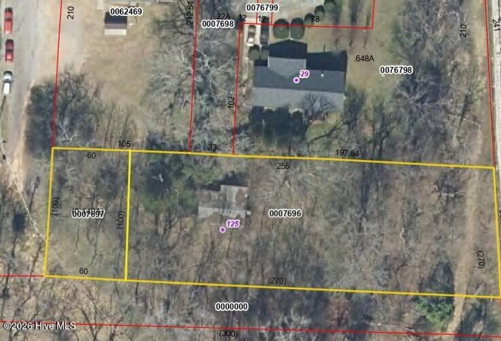 Photo of 125 S Masonic Street, Pittsboro, NC 27312 (MLS # 100547400)