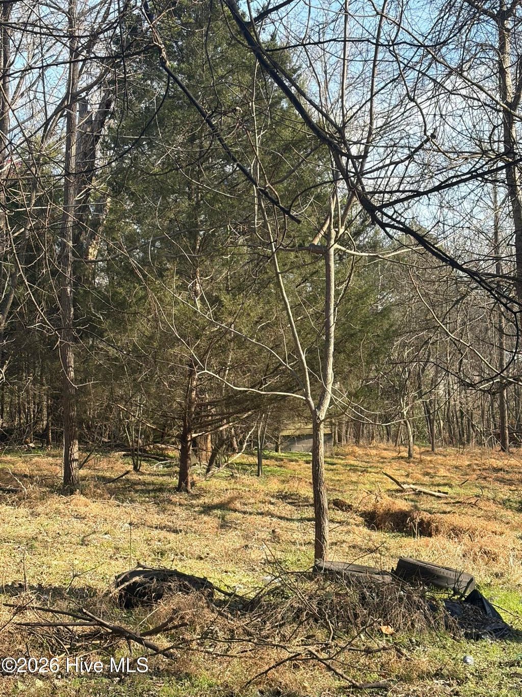 Photo of 125 S Masonic Street, Pittsboro, NC 27312 (MLS # 100547400)