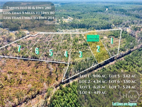 Vacant Land For Sale - LOT 4 Charles Shuman Road<br/> Pembroke, GA 31321