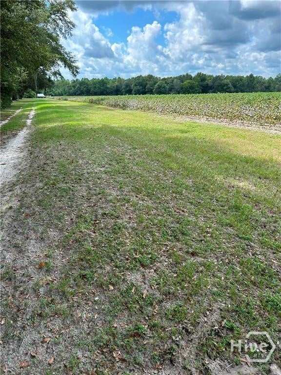Photo of 344 Shuman Road RD, Brooklet, GA 30415 (MLS # SA366294)