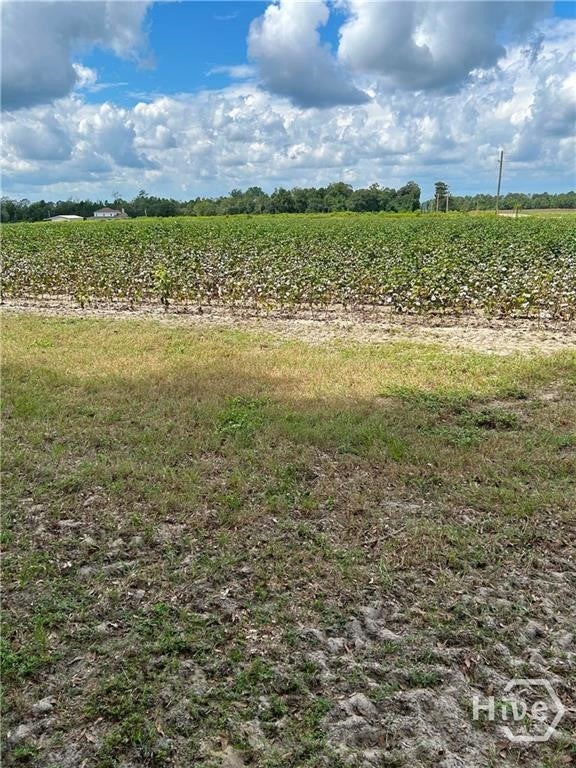 Photo of 344 Shuman Road RD, Brooklet, GA 30415 (MLS # SA366294)