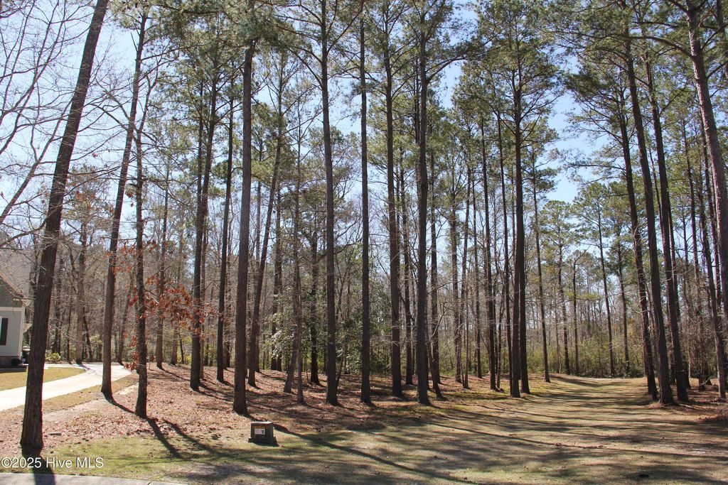 Photo of 487 Hearthside Drive SE, Bolivia, NC 28422 (MLS # 100496599)