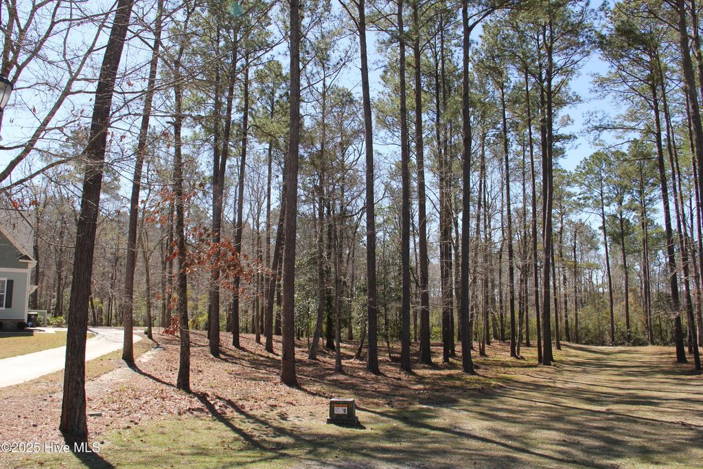 Photo of 487 Hearthside Drive SE, Bolivia, NC 28422 (MLS # 100496599)