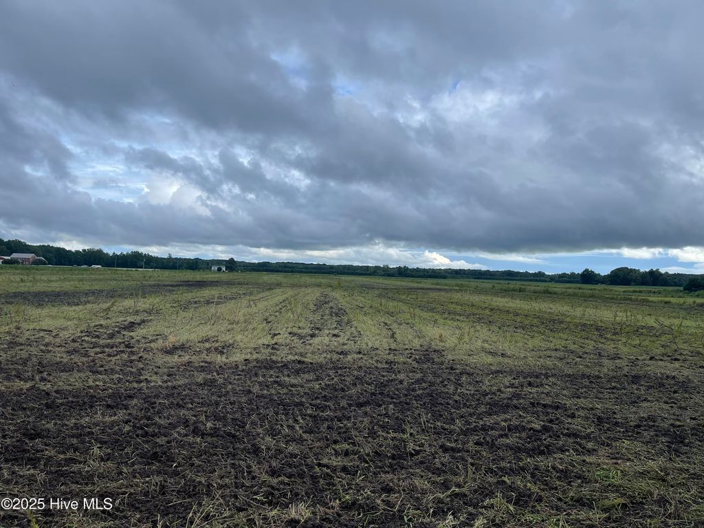 Photo of Tbd Ryland Road, Tyner, NC 27980 (MLS # 100524472)