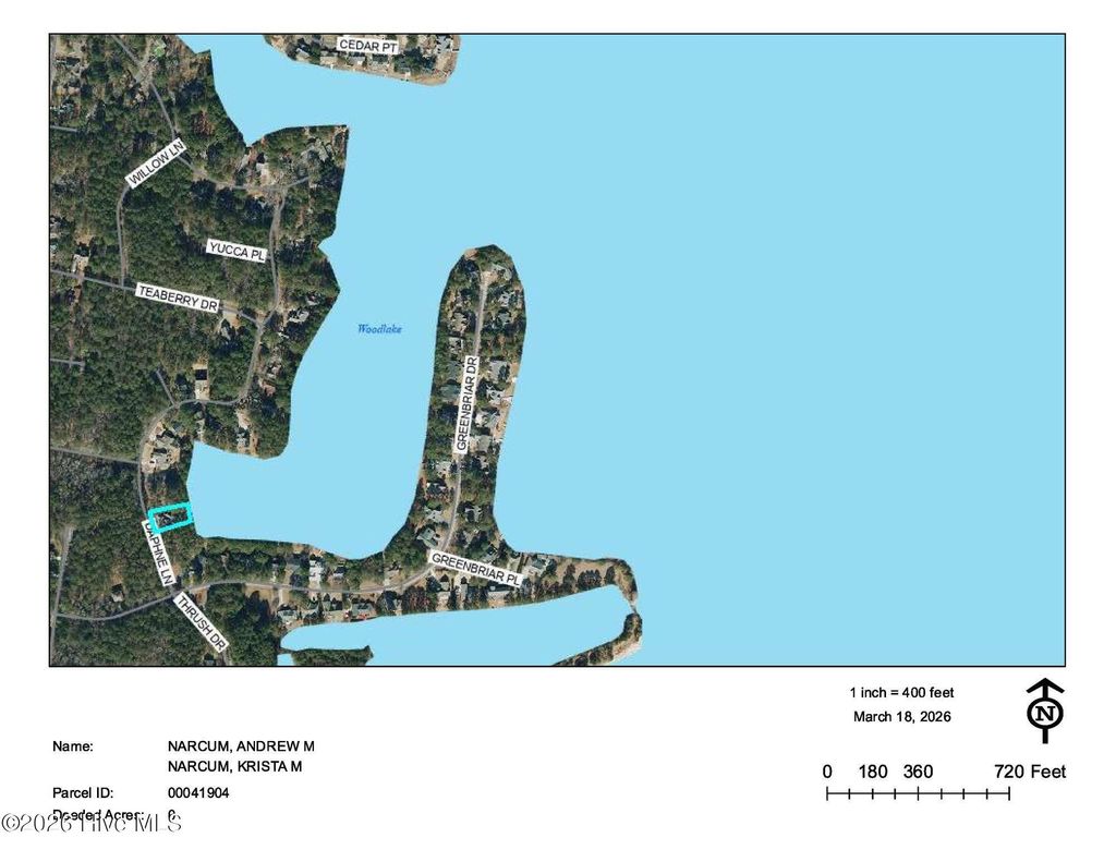 Photo of 793 Daphne Lane, Vass, NC 28394 (MLS # 100561156)