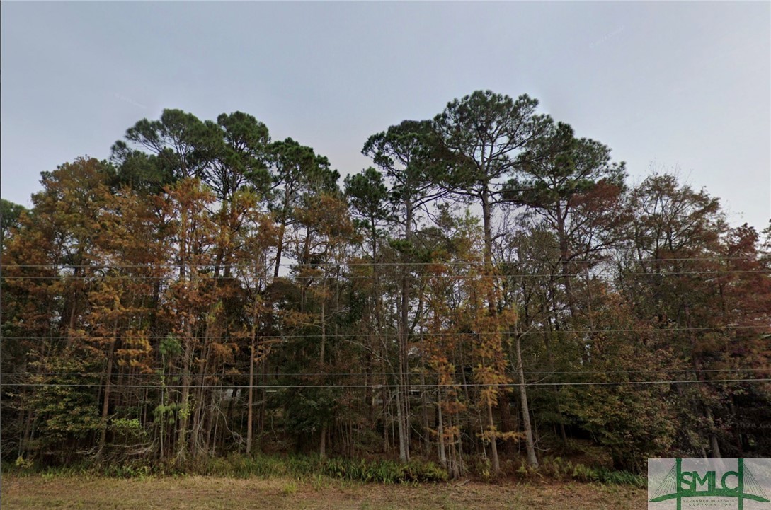 Eden, Georgia 31307, United States, ,Commercial,Active,255441