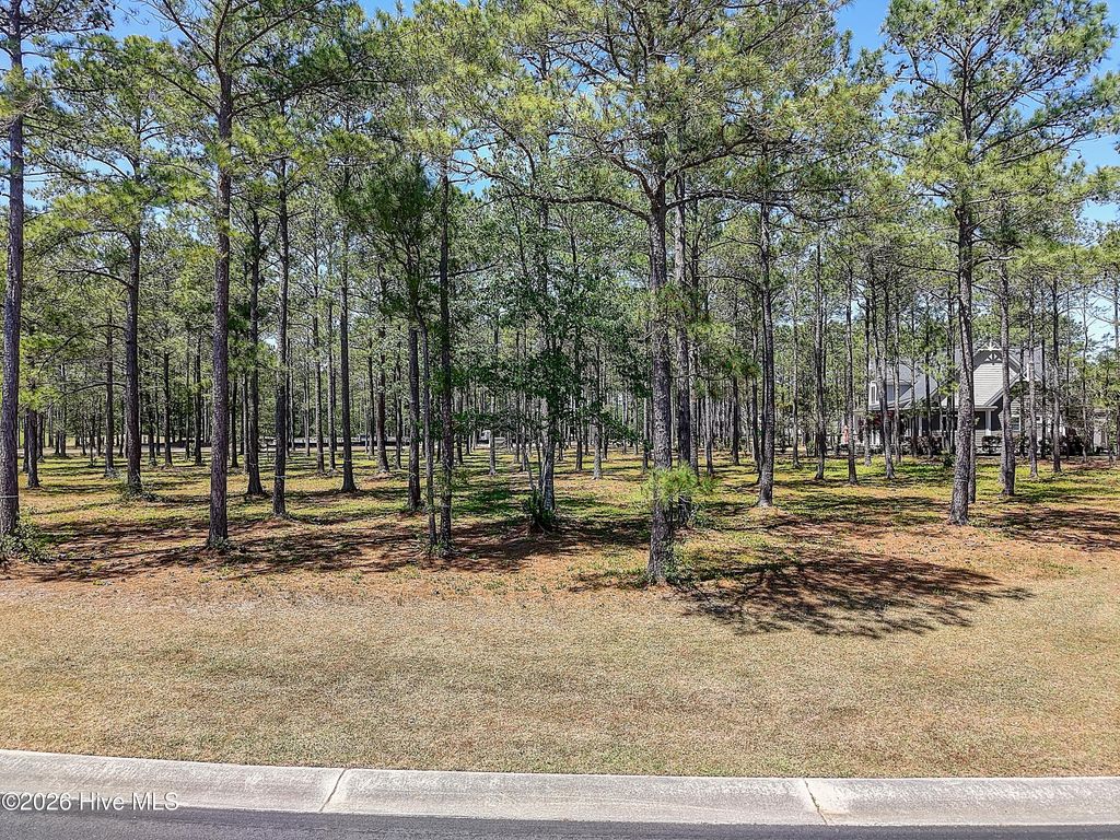 Photo of 6523 Stonley Circle SW, Ocean Isle Beach, NC 28469 (MLS # 100569587)
