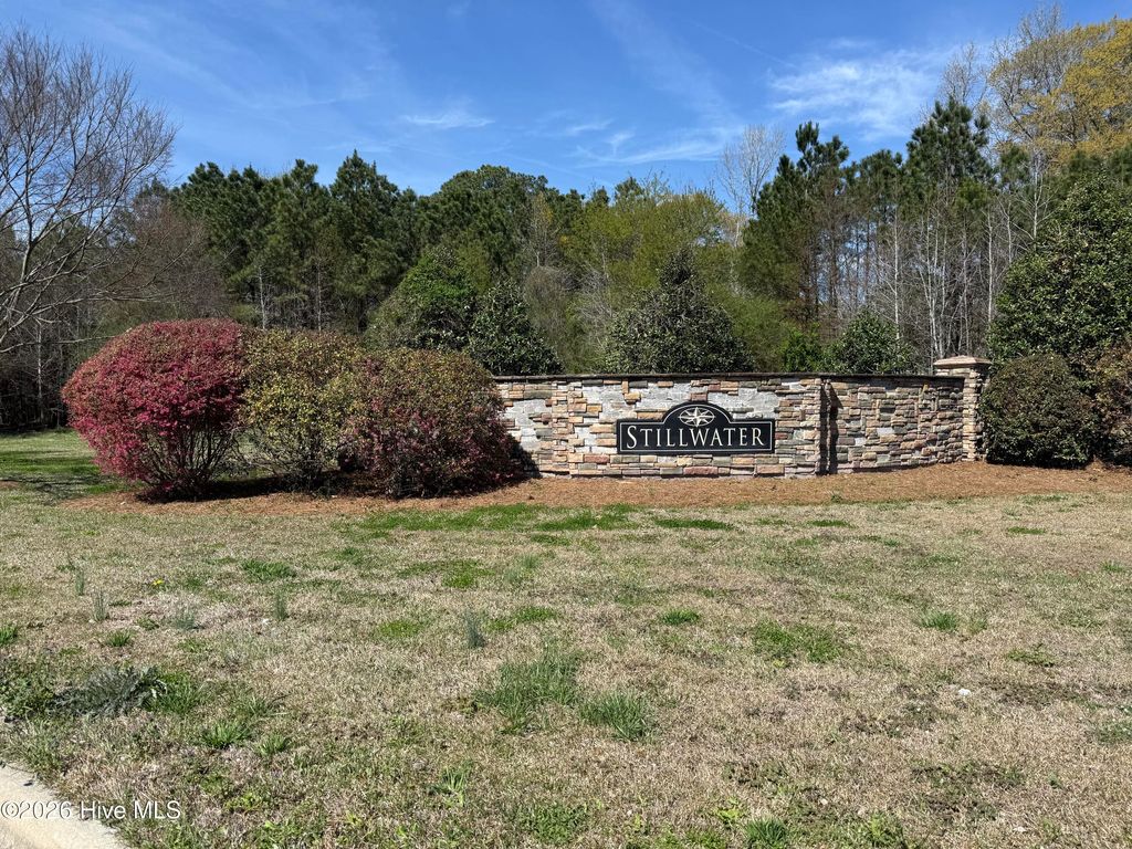 Photo of 910 Stillwater Drive, Belhaven, NC 27810 (MLS # 100562200)