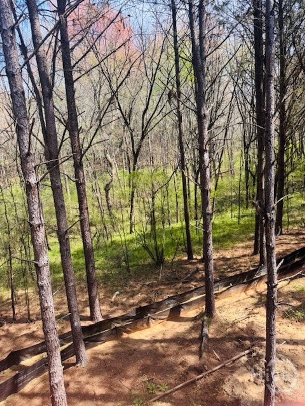 Photo of 3279 Tommy Dillaed Road, Monroe, GA 30656 (MLS # CL352770)