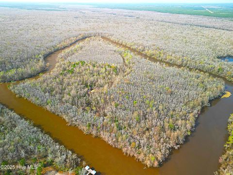 84 Acre Private Island, Cape Fear Rive Leland NC 28451