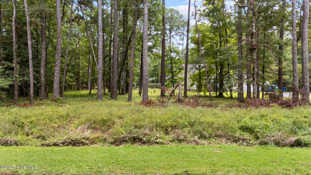 Photo of 1408 Seafarer Drive, Oriental, NC 28571 (MLS # 100533488)