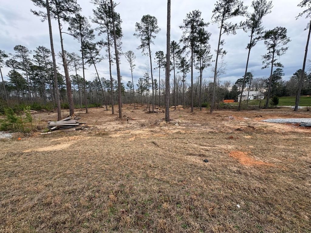 Photo of 5672 White Oak Road, Appling, GA 30802 (MLS # 552558)