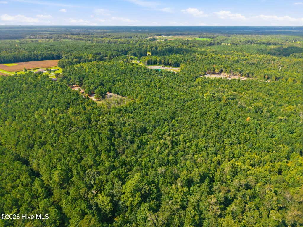 Photo of 2 Haws Run Road, Maple Hill, NC 28454 (MLS # 100598613)