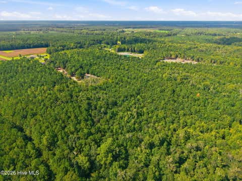 Tiny photo for 2 Haws Run Road, Maple Hill, NC 28454 (MLS # 100598613)