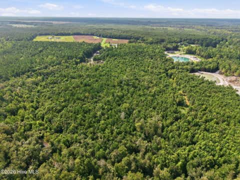Tiny photo for 2 Haws Run Road, Maple Hill, NC 28454 (MLS # 100598613)