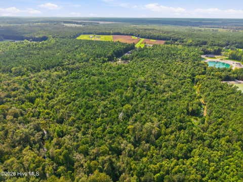 Tiny photo for 2 Haws Run Road, Maple Hill, NC 28454 (MLS # 100598613)